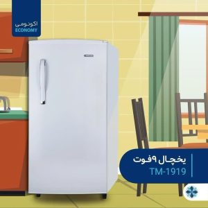 یخچال 9 فوت